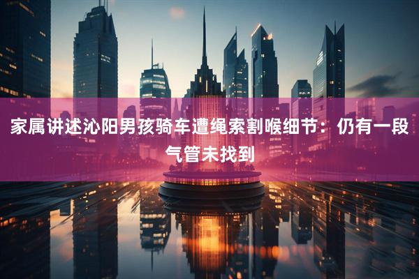 家属讲述沁阳男孩骑车遭绳索割喉细节：仍有一段气管未找到